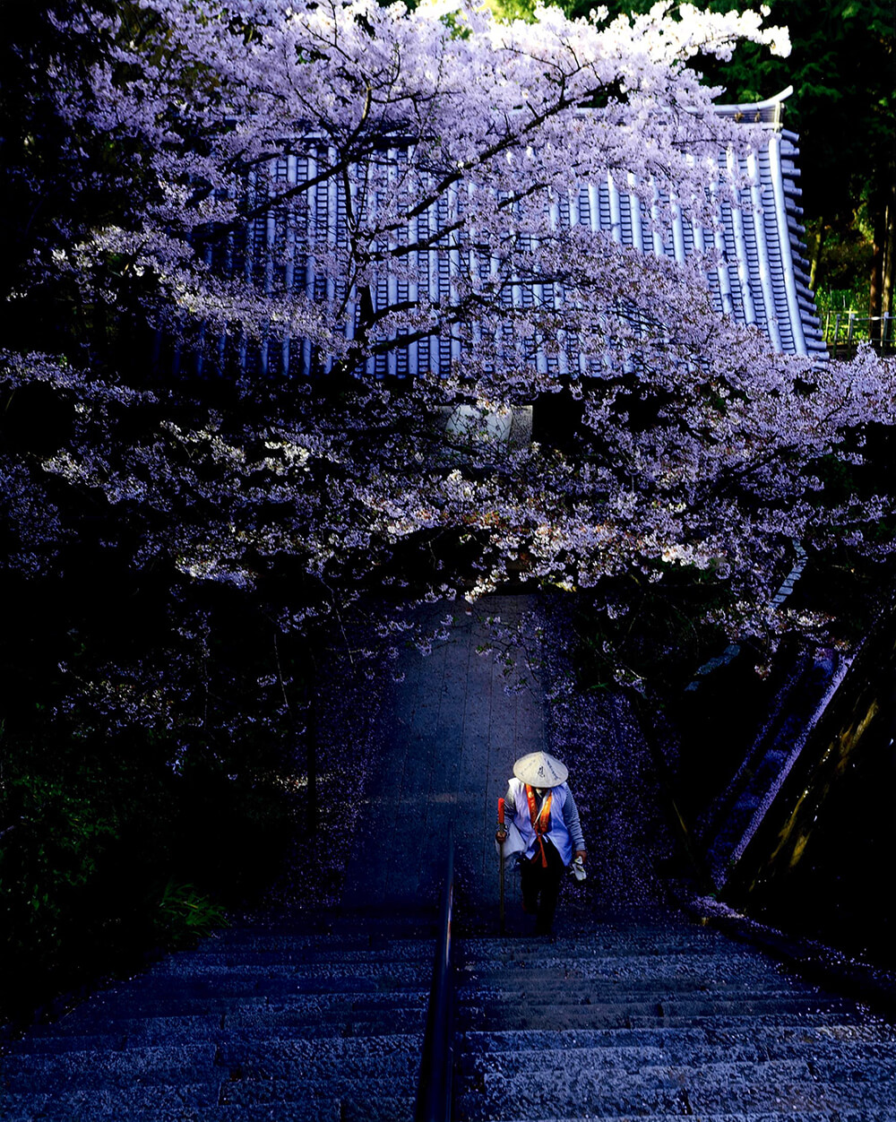 花遍路