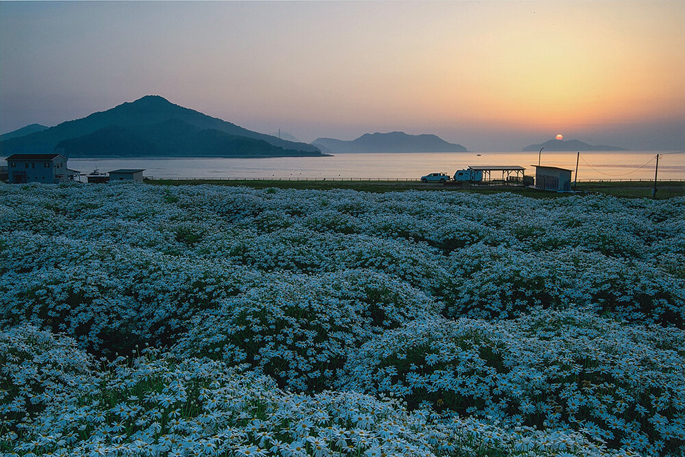 瀬戸の花園